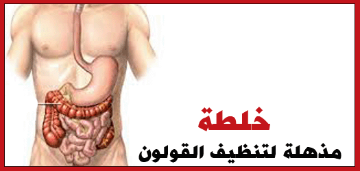 خلطة لتنظيف القولون من الردب - التخلص من فضلات المعدة 0