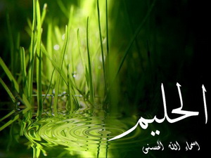 اسم من اسماء الله الحسنى ومعناه - معنى اسم الحليم 6657