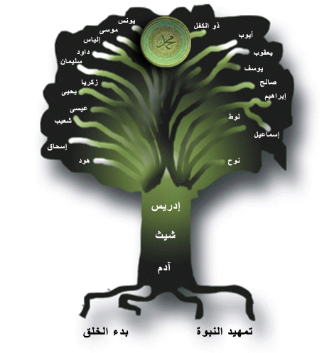 شرح لمعنى الاسم لن تجده عند احد - معنى كلمة لوط