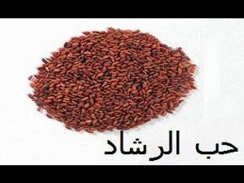 بخور حب الرشاد , غذاء الجن الشهير