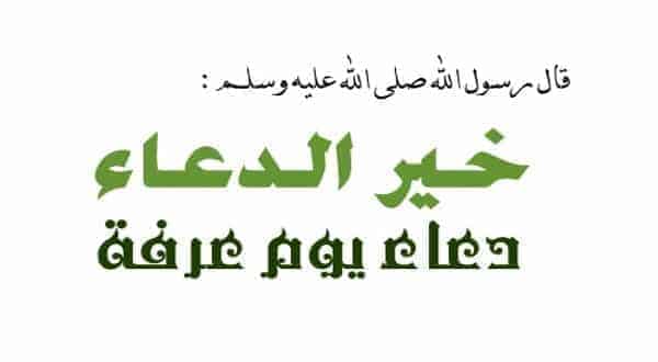 تجربتي يوم عرفة- تجربتي في فضل الدعاء يوم عرفة 61396