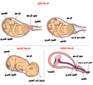 اعراض الحمل بالشهر التاسع , اعراض هتظهر عليكي اول الشهر التاسع بالحمل