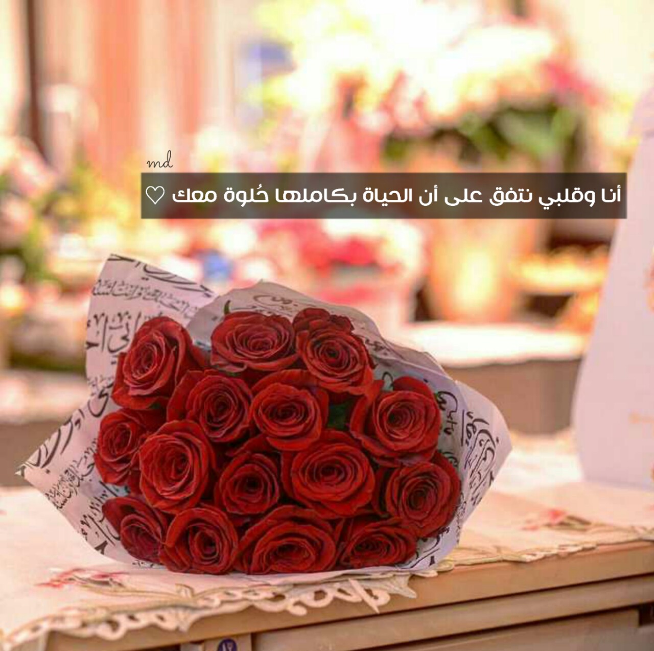 صور حلوه، واو صور رائعه 60647 12