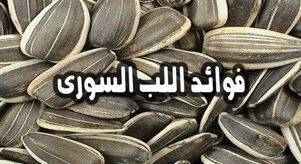 من اجمل الاشياء المسلية , فوائد اللب السوري