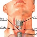 Thyroidkr01 غده الدرقيه - اعراض تعرف من خلالها انك مصاب بالغدة الدرقية ساحرة القلوب