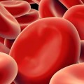علاج فقر الدم بالغذاء كيفية علاج نقص الصفائح الدموية - علاج طبي يمنع قلة الصفائح الدموية بالجسم ساحرة القلوب