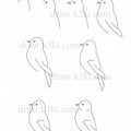 99 212X300 عصافير رسم - صور رسومات عصافير للاطفال Amenh